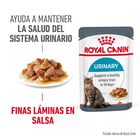 Royal Canin Urinary Sobre en Salsa para gatos, , large image number null